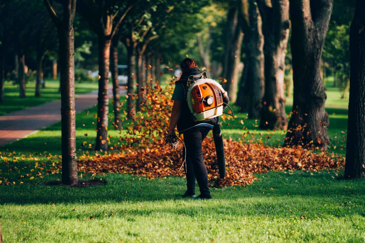 Naples Manor, FL Tree Service Company